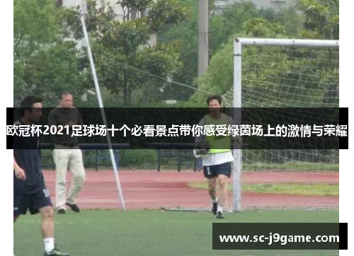 欧冠杯2021足球场十个必看景点带你感受绿茵场上的激情与荣耀