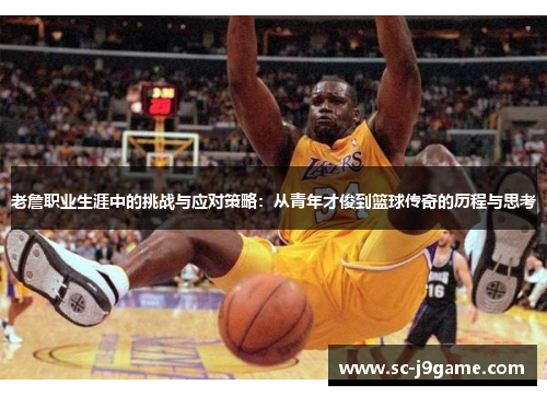 老詹职业生涯中的挑战与应对策略：从青年才俊到篮球传奇的历程与思考