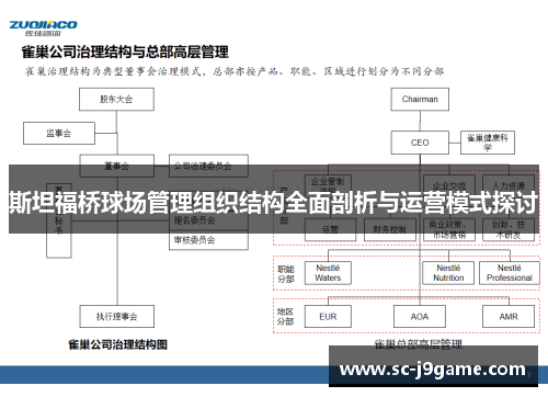 斯坦福桥球场管理组织结构全面剖析与运营模式探讨